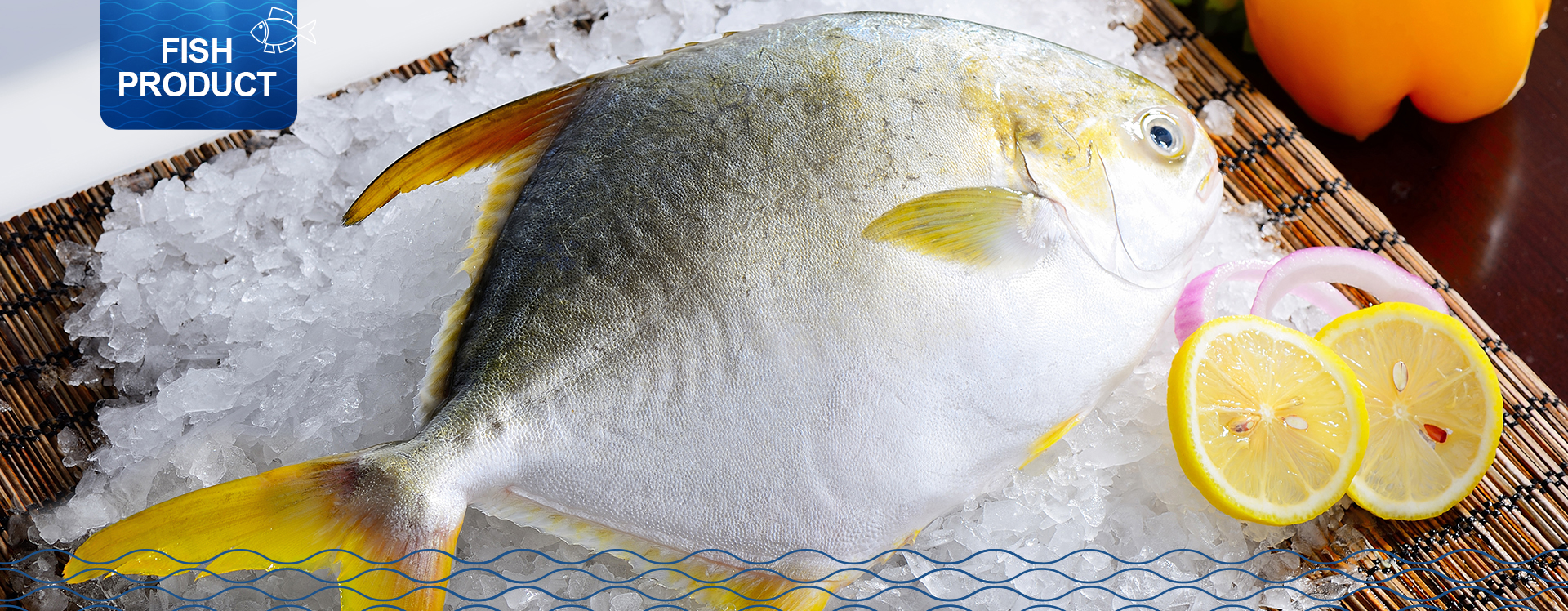 一級(jí)產(chǎn)品1920x748金鯧魚.jpg